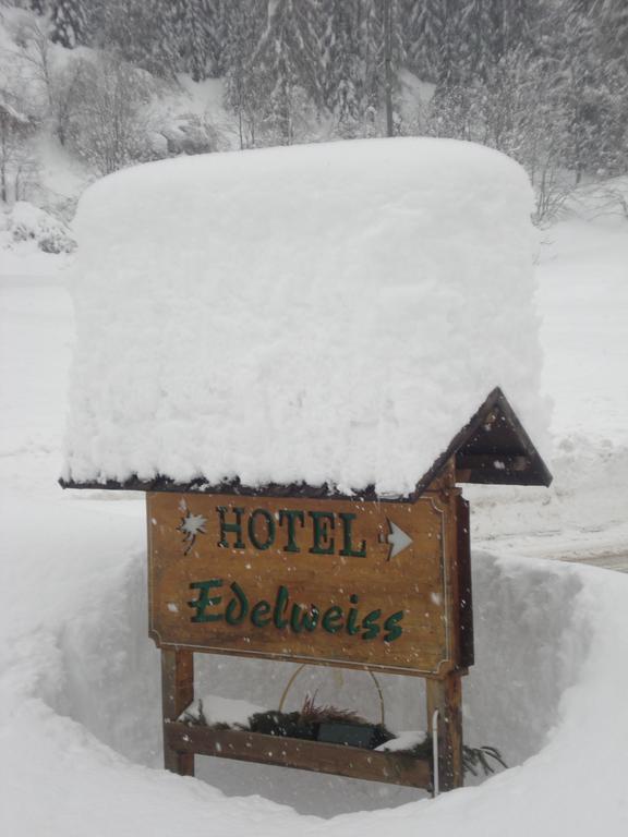 Hotel Edelweiss Val di Zoldo Eksteriør billede